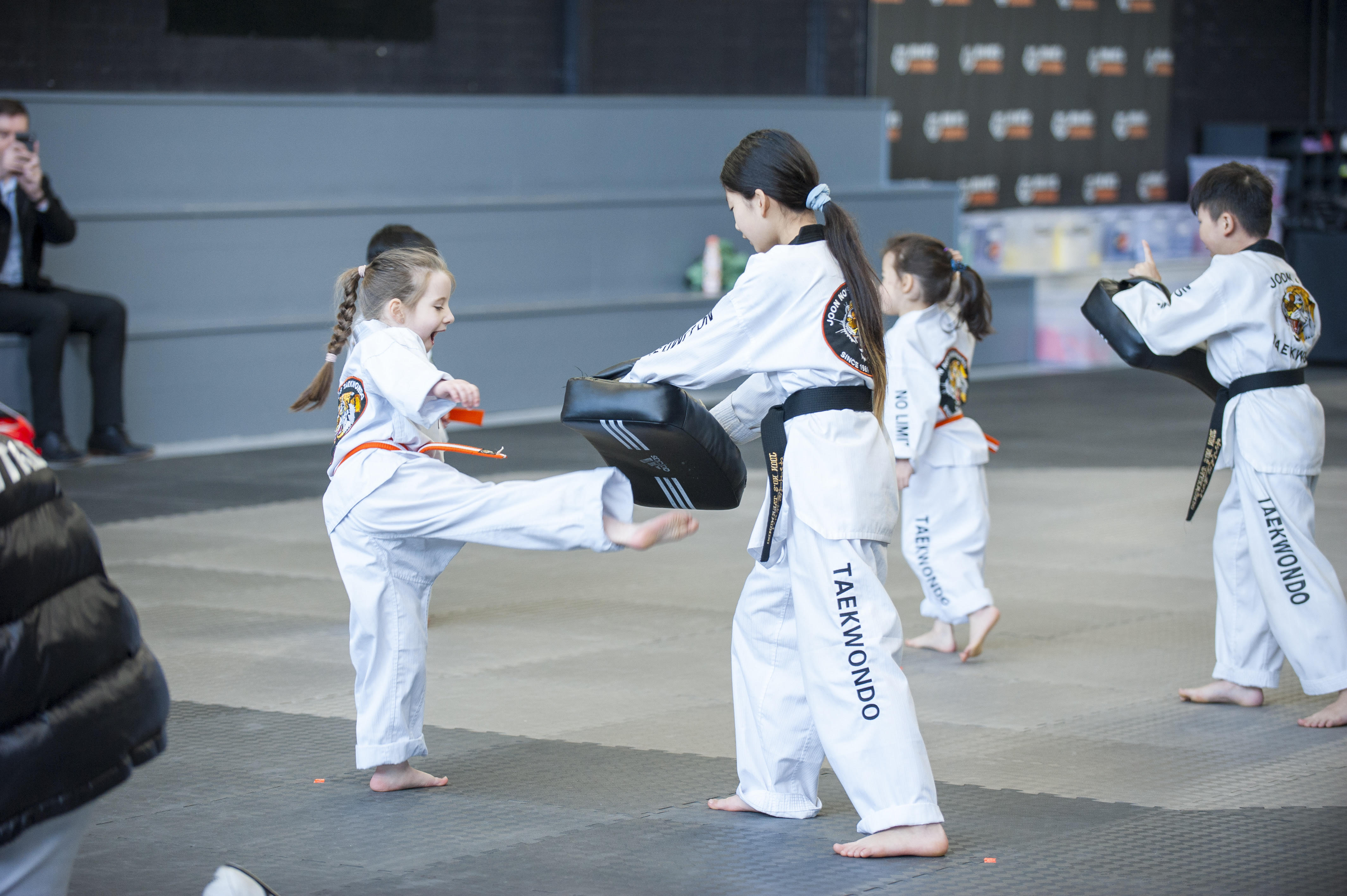 Blue Taekwondo Helmet